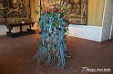 VBS_0102 - Corollaria Flower Exhibition 2022